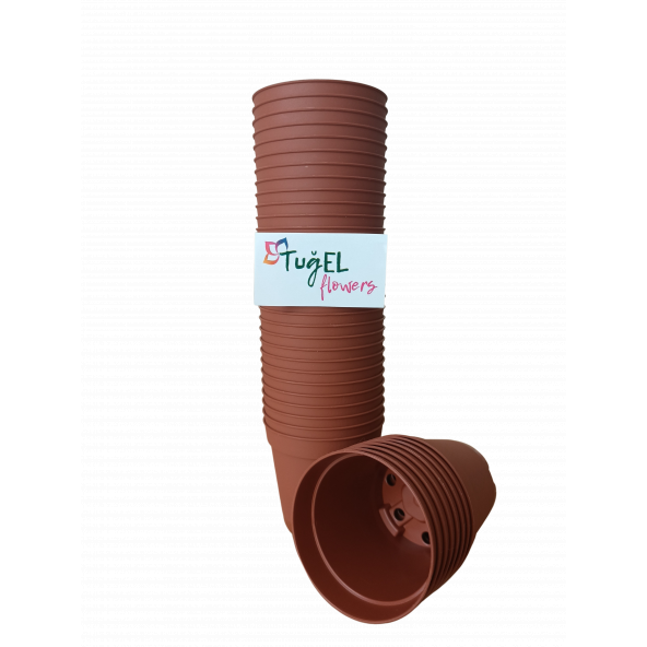 TUĞEL FLOWERS 100 ADET KAKTÜS&SUKULENT ÜRETİM SAKSISI 1.KALİTE (MİNİ BOY-5.5 CM) ürün görseli 1