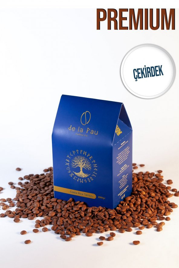 Costa Rica Tarrazu Premium Taze Yöresel Filtre Kahve ( Çekirdek Kahve ) 250 gr
