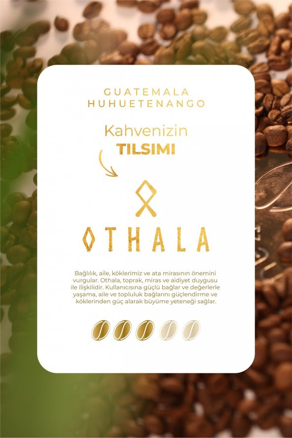 Guatemala Huehuetenango Premium Taze Öğütülmüş Filtre Kahve 250 gr - 4