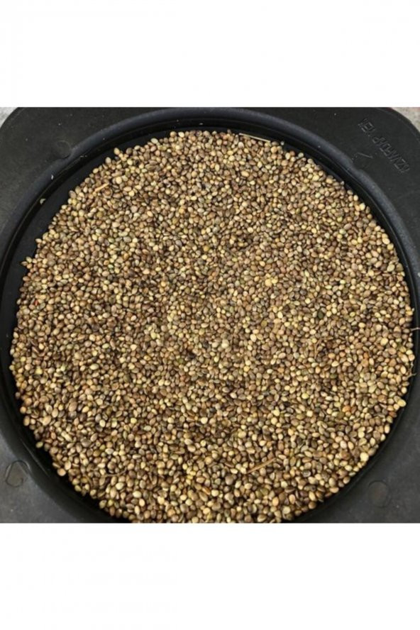 Çetene Kenevir Tohumu Kendir Kuş Yemi 1 kg