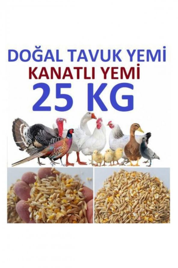 Tavuk Yemlik Buğday Çavgalar Tavuk Ve Kuş Için Yemlik Buğday 25 Kg - 2