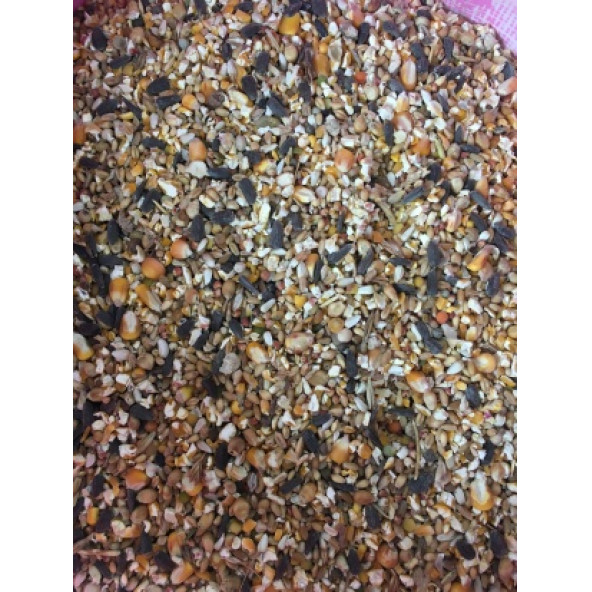 ECEM MARKA ÖZEL KARIŞIK GÜVERCİN YEMİ 10 KG - 2