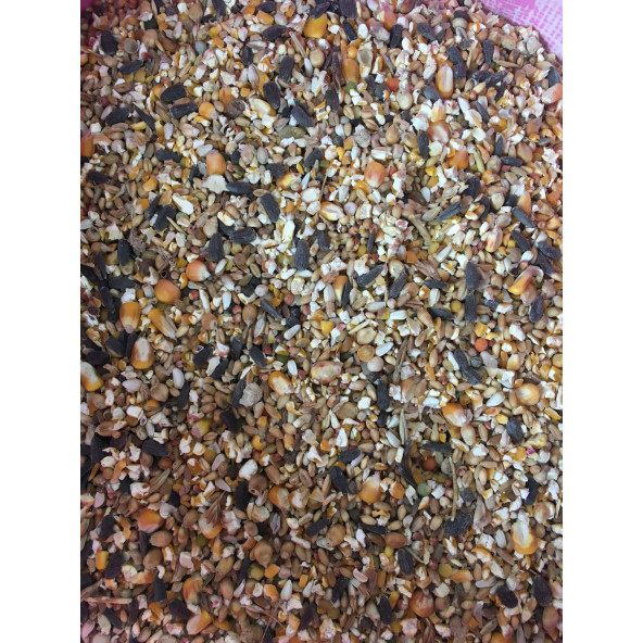 KARIŞIK GÜVERCİN YEMİ  10 Kg - Resim 3