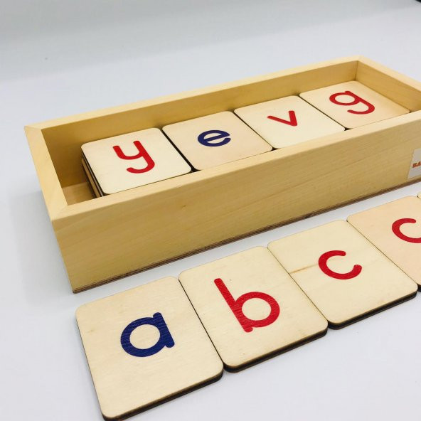 Montessori Alfabe - Küçük Harfler ( Türkçe - İngilizce Harfler ) - 3