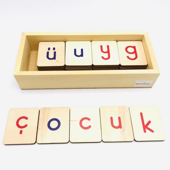 Montessori Alfabe - Küçük Harfler ( Türkçe - İngilizce Harfler ) - 4
