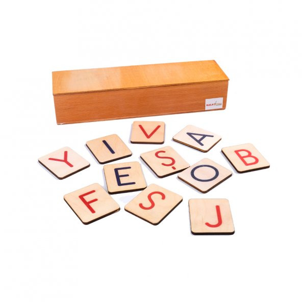 Montessori Alfabe - Büyük Harfler (Türkçe - İngilizce Harfler ) - 1