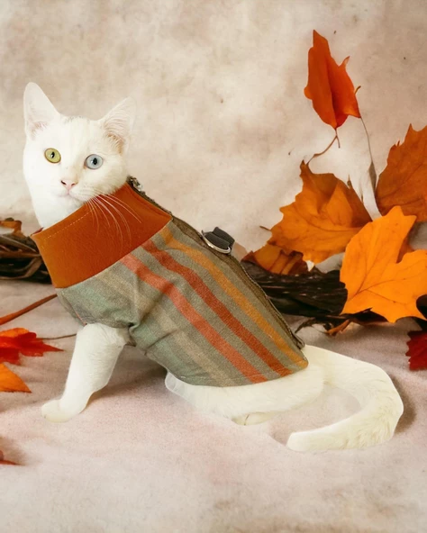 Stripe Orange Su itici Kedi Yağmurluğu