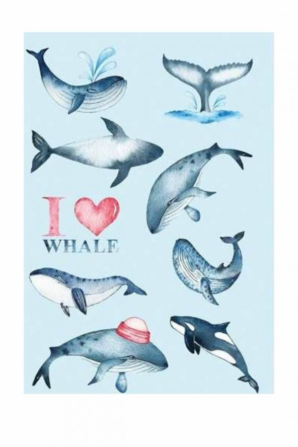 DEFFTER I Love Whale Not Defteri  /