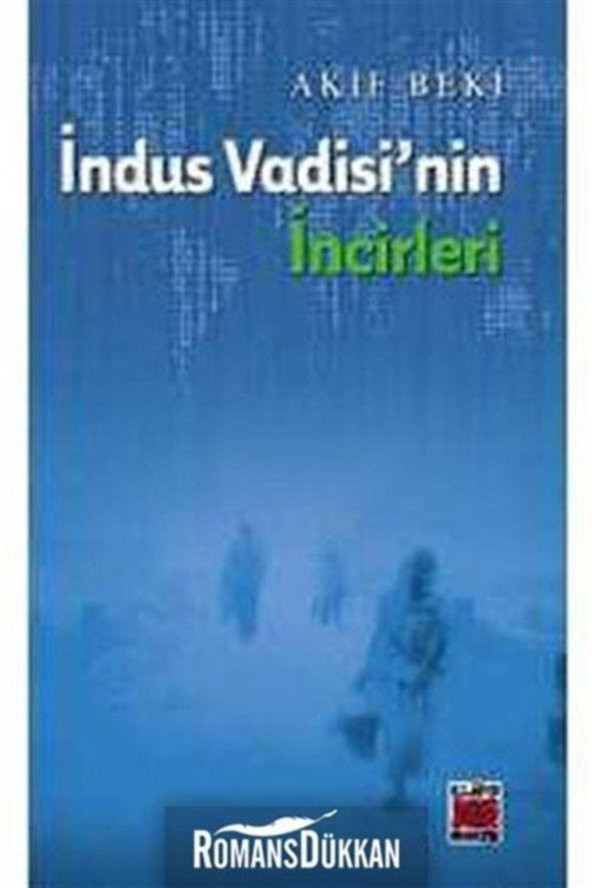 Elips Kitap İndus Vadisinin İncileri ürün görseli