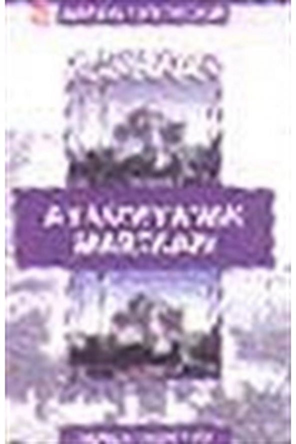 Sistem Yayıncılık Ayasofyanın Martıları ürün görseli