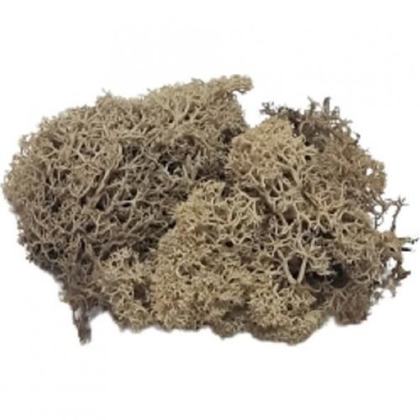 JORDANIA YOSUN 8000 NATUREL 10gr JE00-0508000