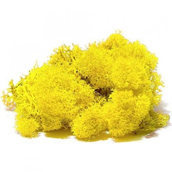 JORDANIA YOSUN 4216 SARI 10gr JE00-0504216 ürün görseli