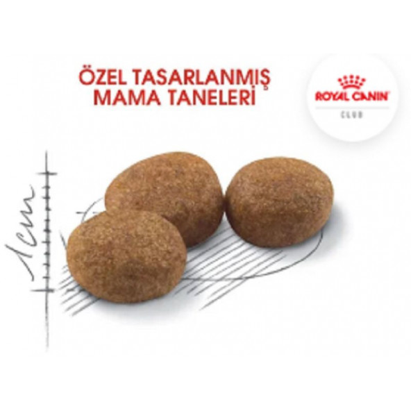 Royal Canin Sterilised 37 Kısırlaştırılmış Kedi Maması 4kg - 3
