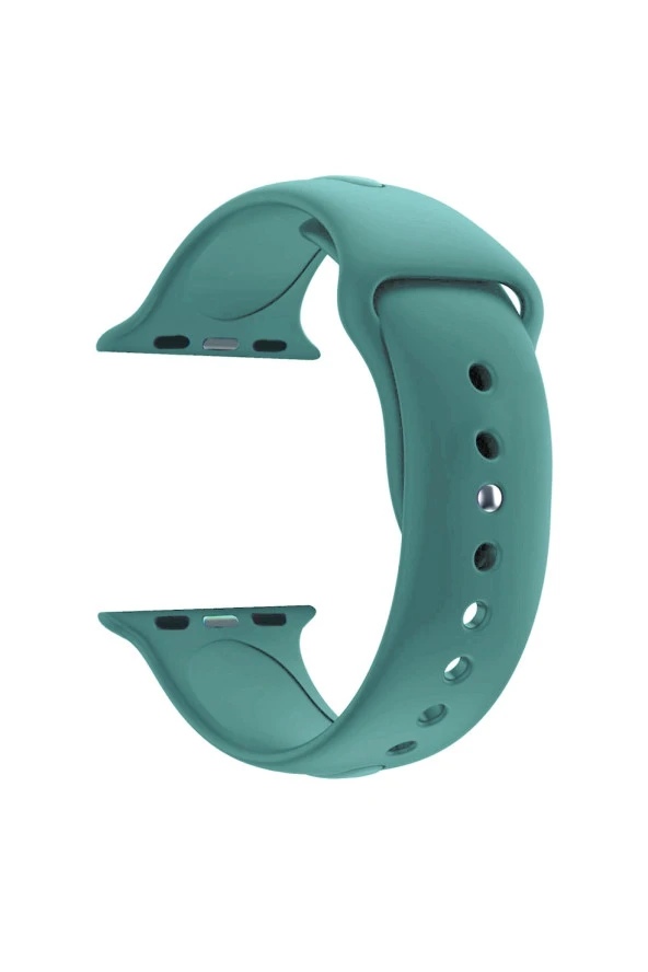 Apple Watch Seri 1 2 3 Için 42 Mm Small Beden(s/m Size) Silikon Kordon Deniz Mavisi