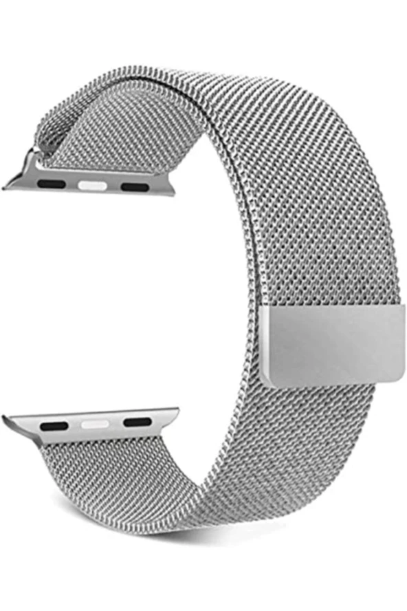 Apple Watch Seri 1 2 3 42 Mm Için Metal Milanese Kordon Gümüş