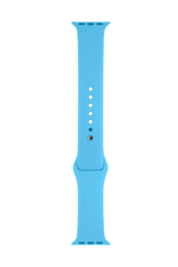 Unisex Mavi Apple Watch Series 4 5 Uyumlu 44 mm Silikon Kordon L