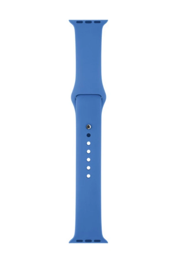 Unisex Royal Blue Apple Watch Series 1 2 3 İçin 42 mm Large Beden Silikon Kordon