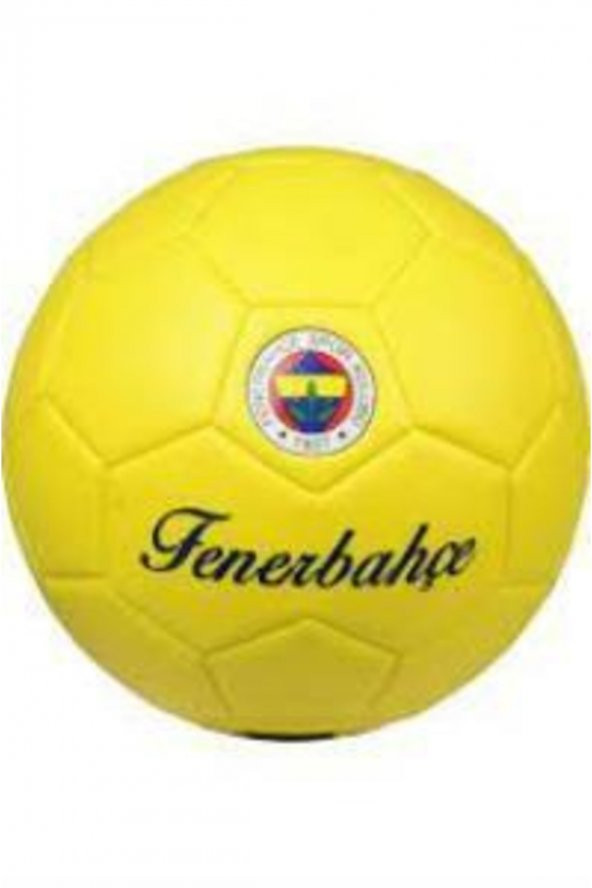 Fenerbahçe Premium Futbol Topu No:5