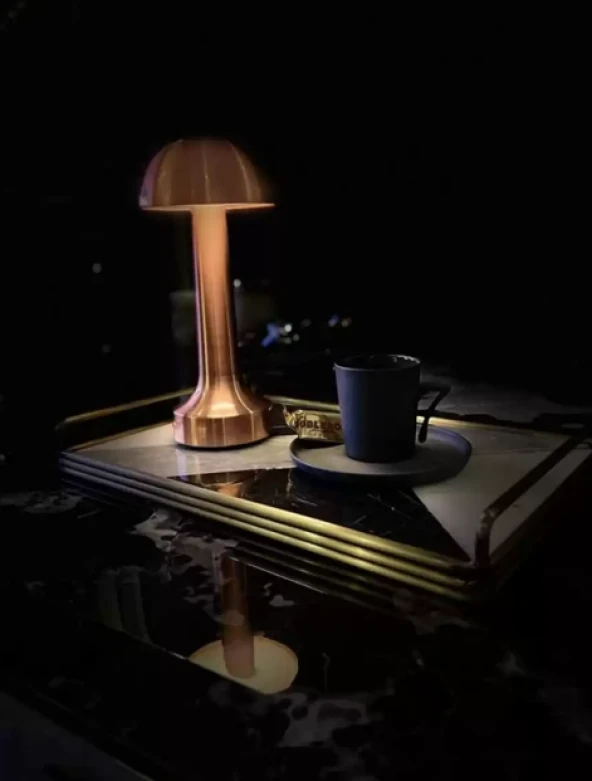 CATA CT 8430 Lizbon 3 Renk Şarjlı Masa Lambası - 2