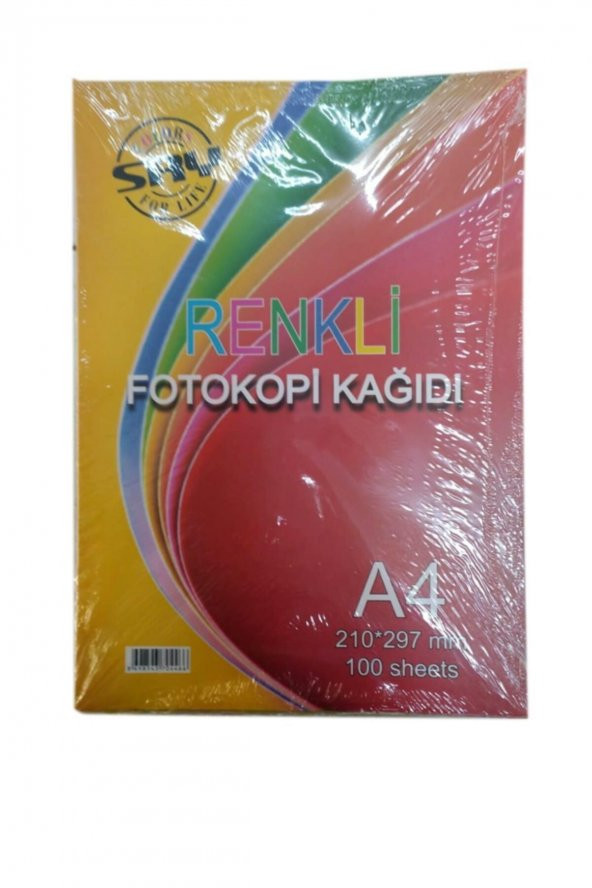 A4 Renkli Fotokopi Kağıdı 5 Renk 80 Gr 3 Paket 300 Adet - 4