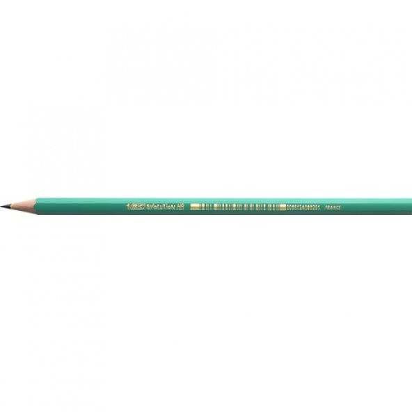 Bic Evolution 650 HB Kurşun Kalem 12li Kutu - 5