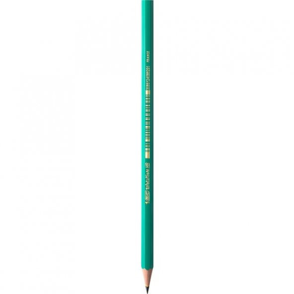Bic Evolution 650 HB Kurşun Kalem 12li Kutu - 6