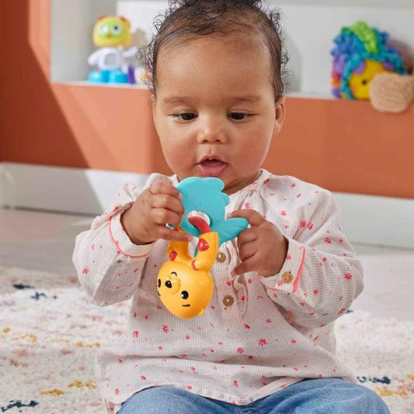Fisher Price Eğlenceli Dostlar Su Samuru Dişlik HJW11-HKD69 - 2