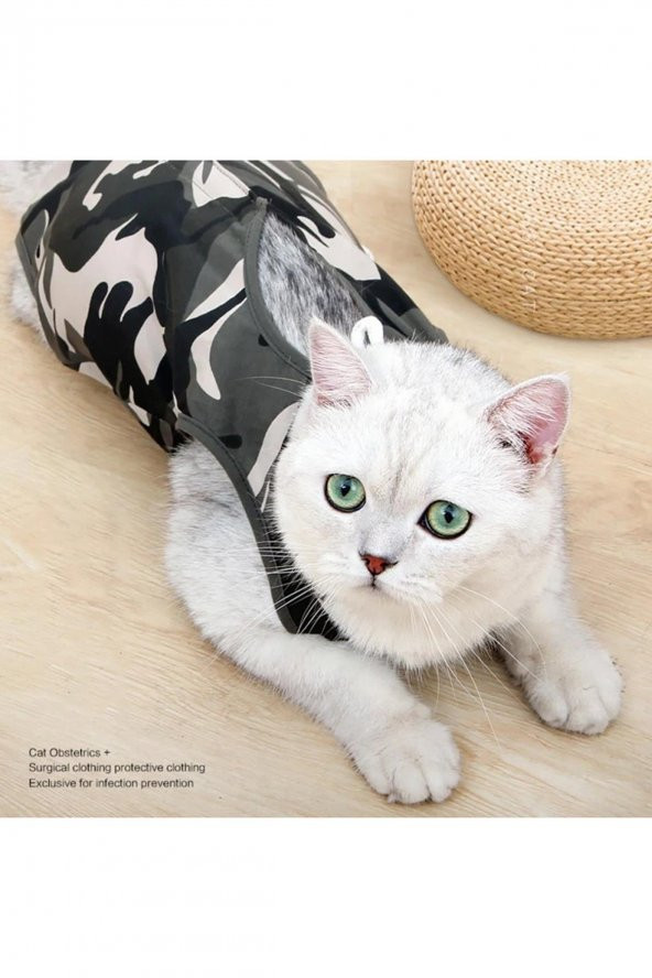 Kedi Ameliyat Sonrası Elbisesi - Resim 4