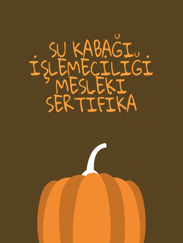 su kabağı işlemeciliği mesleki sertifika programı - 1