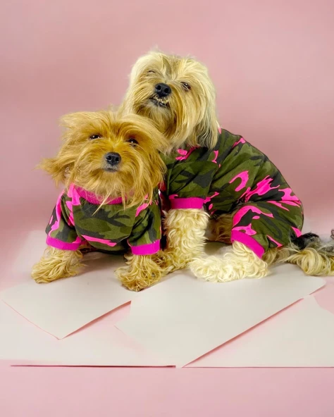 Pinky Camouflage Penye Tulum Köpek Tulumu Köpek Elbisesi