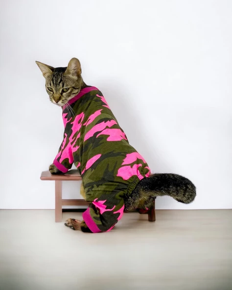 Pinky Camouflage Penye Tulum Kedi Tulumu Kedi Elbisesi - 2
