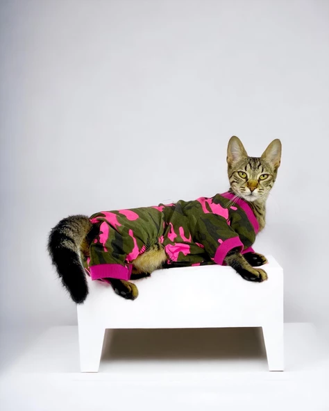 Pinky Camouflage Penye Tulum Kedi Tulumu Kedi Elbisesi - 3