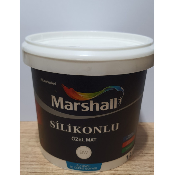 Marshall Silikonlu Özel Mat Boya 1 LT