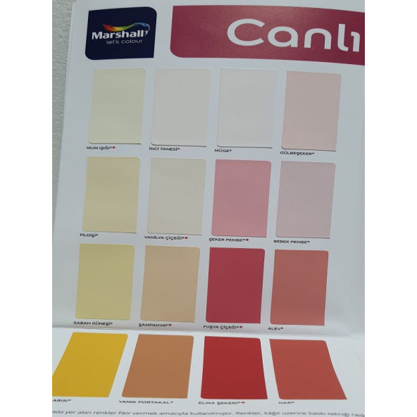 Marshall Silikonlu Özel Mat Boya 1 LT - 4