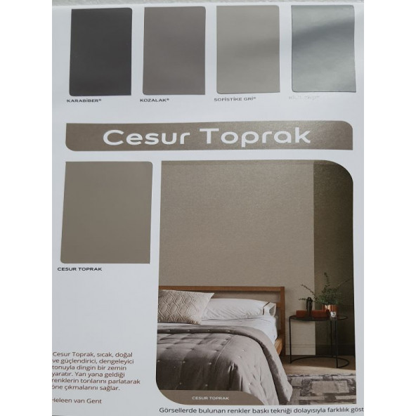 Marshall Silikonlu Özel Mat Boya 1 LT - 9