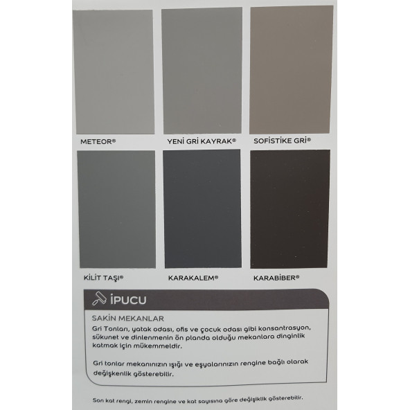 Marshall Silikonlu Özel Mat Boya 1 LT - 11