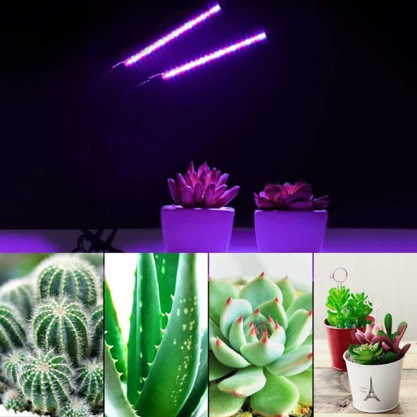 Tam Spektrum LED Işık Bitki Büyütme 5V USB 40W Zaman ve Renk Ayarı - 11