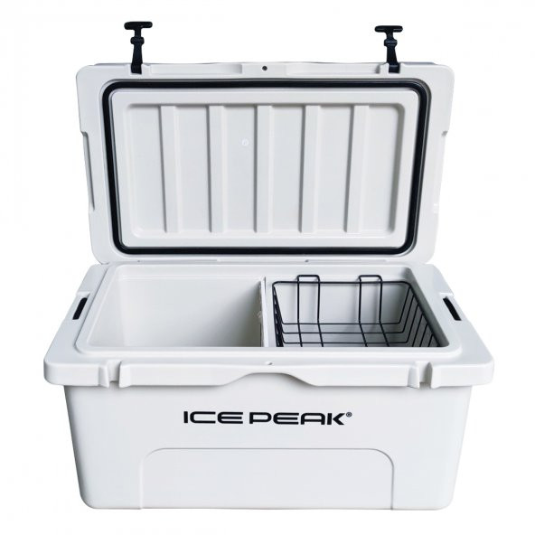 Icepeak Aden Plus Buzluk 65 Litre - 3