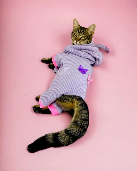 Sweet Bunnyy Kulaklı Kedi Tulumu, Kedi Kıyafeti - Resim 6