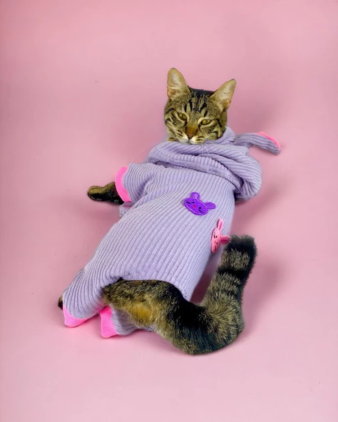 Sweet Bunnyy Kulaklı Kedi Tulumu, Kedi Kıyafeti - Resim 2