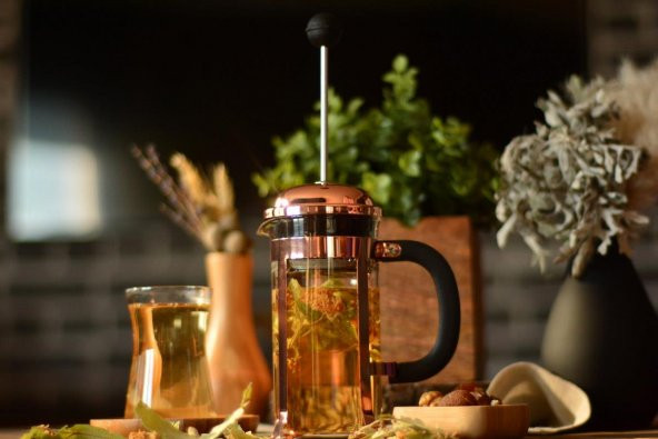 Oms Holmes French Press 350 ml 9130 - 2