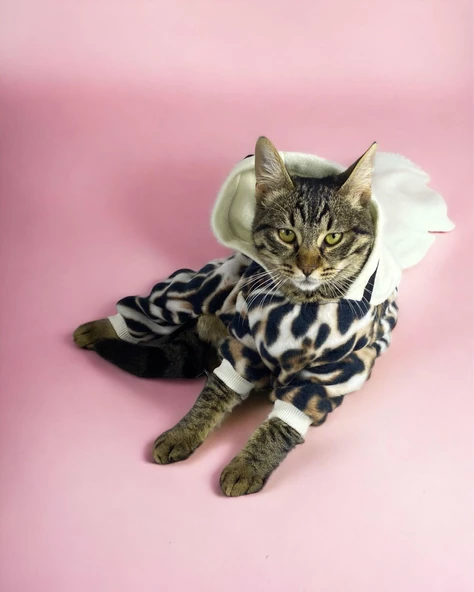 Leo Chiquee Polar Kapşonlu Duo Kedi Tulumu Kıyafeti - 8