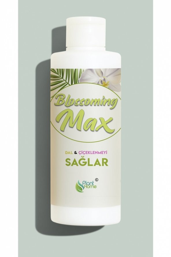 Blossoming Max Dal Ve Çiçeklenmeyi Sağlayan Güçlü Besin 100 Ml - 2