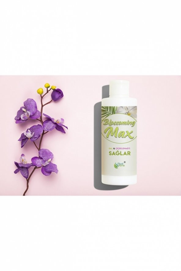 Blossoming Max Dal Ve Çiçeklenmeyi Sağlayan Güçlü Besin 100 Ml - 3