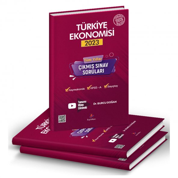 Dizgi Kitap 2023 Kaymakamlık Türkiye Ekonomisi Çıkmış Sorular - Burcu Doğan Dizgi Kitap - 2