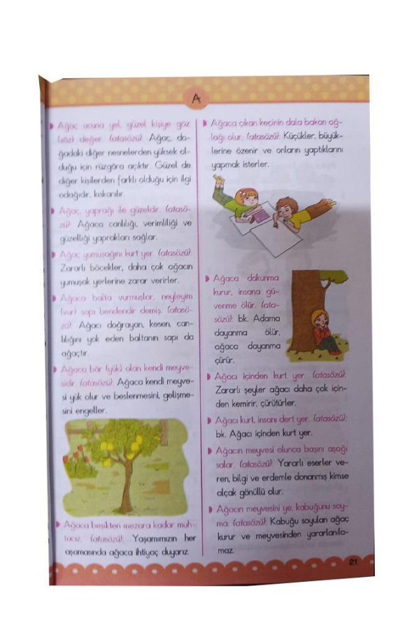 Resimli Atasözleri ve Deyimler Sözlüğü Tdk Uyumlu Karton Kapak İlk Orta Okul 256 Sayfa 1 Adet Ema Renkli Resimli Sözlük Atasözleri Deyimler - 2