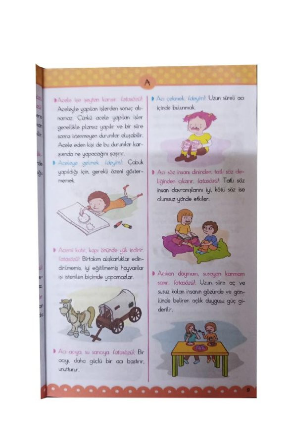 Resimli Atasözleri ve Deyimler Sözlüğü Tdk Uyumlu Karton Kapak İlk Orta Okul 256 Sayfa 1 Adet Ema Renkli Resimli Sözlük Atasözleri Deyimler - 3