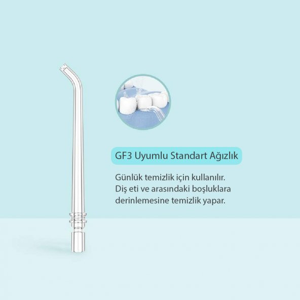 GF3 Ağız Duşu Başlığı 2li (Standart) - 3