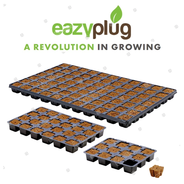 Eazy Plug Tohum Ekim Viyolü 3.5x3.5x3 cm 24 göz - 2