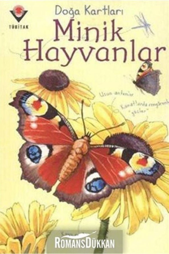 Doğa Kartları / Minik Hayvanlar - Emily Bon